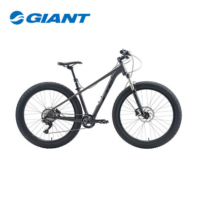 Giant/捷安特油壓碟刹山地車自行車XTC P1