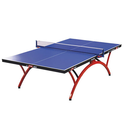 DHS/红双喜室内固定式乒乓球台T2828