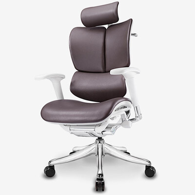 Ergomax/迩高迈思Evolution人体工程学座椅