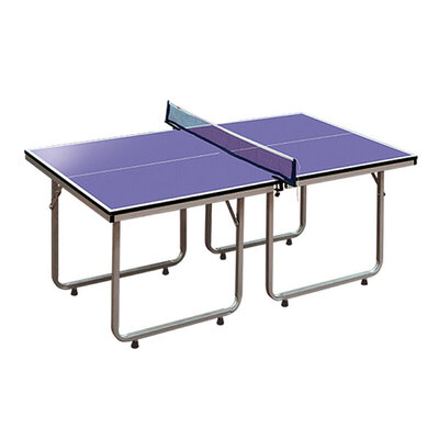 DHS/红双喜室内折叠儿童乒乓球台T919