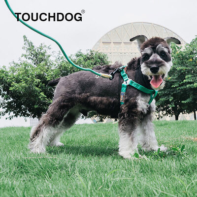 Touchdog/它它攀岩绳牵引