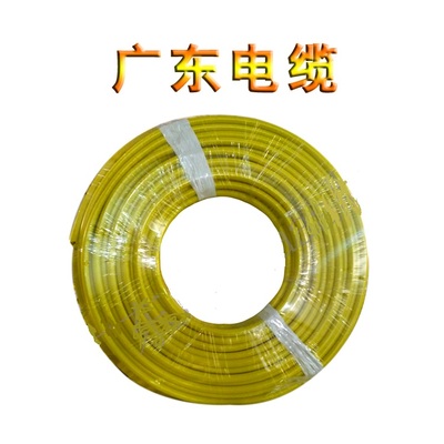 广东电缆ZC- BVV6平方阻燃双塑单支硬线100m
