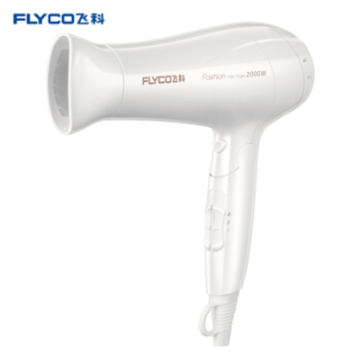 Flyco/飞科大功率可折叠电吹风FH6232