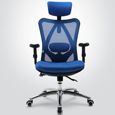 SIHOO/西昊护腰人体工学电脑椅M18