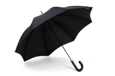 James Smith & Son London Umbrella with Leather Crook直杆伞