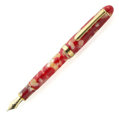 PLATINUM/白金3776世纪系列PTB-30000S14K金笔尖钢笔